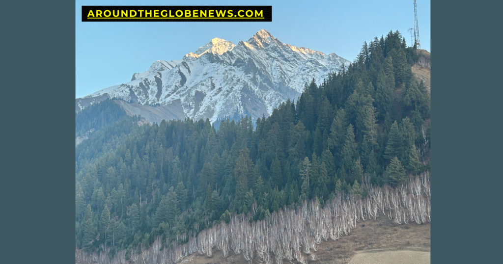 Kashmir : A Quick and Handy Travel Guide
