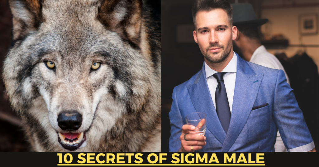 10 Secrets of a Sigma Male : The Lone Wolf