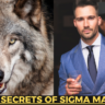 10 Secrets of a Sigma Male : The Lone Wolf